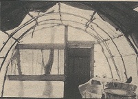 Adventures in  Building a Hut in the Woods Image